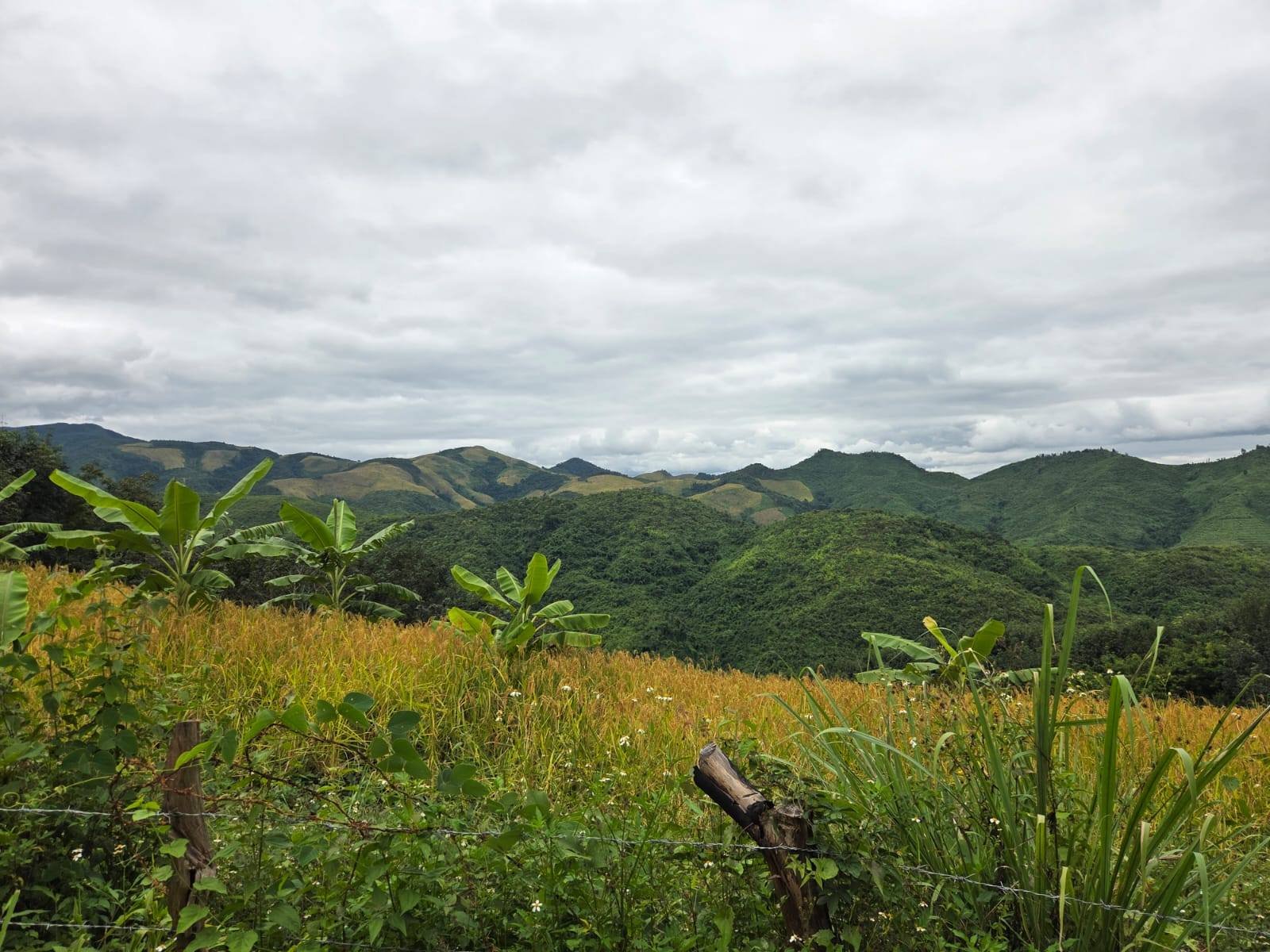 1778222755_25-days-cycling-and-trekking-from-luang-prabang-to-hanoi (15).jpg